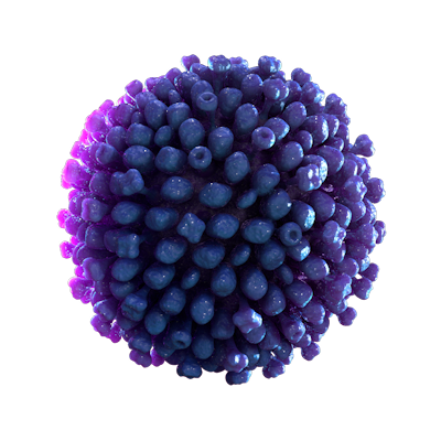 Decorative virus image